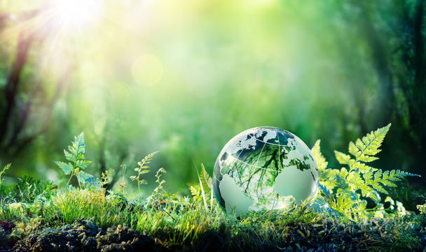 Reasons to go Green